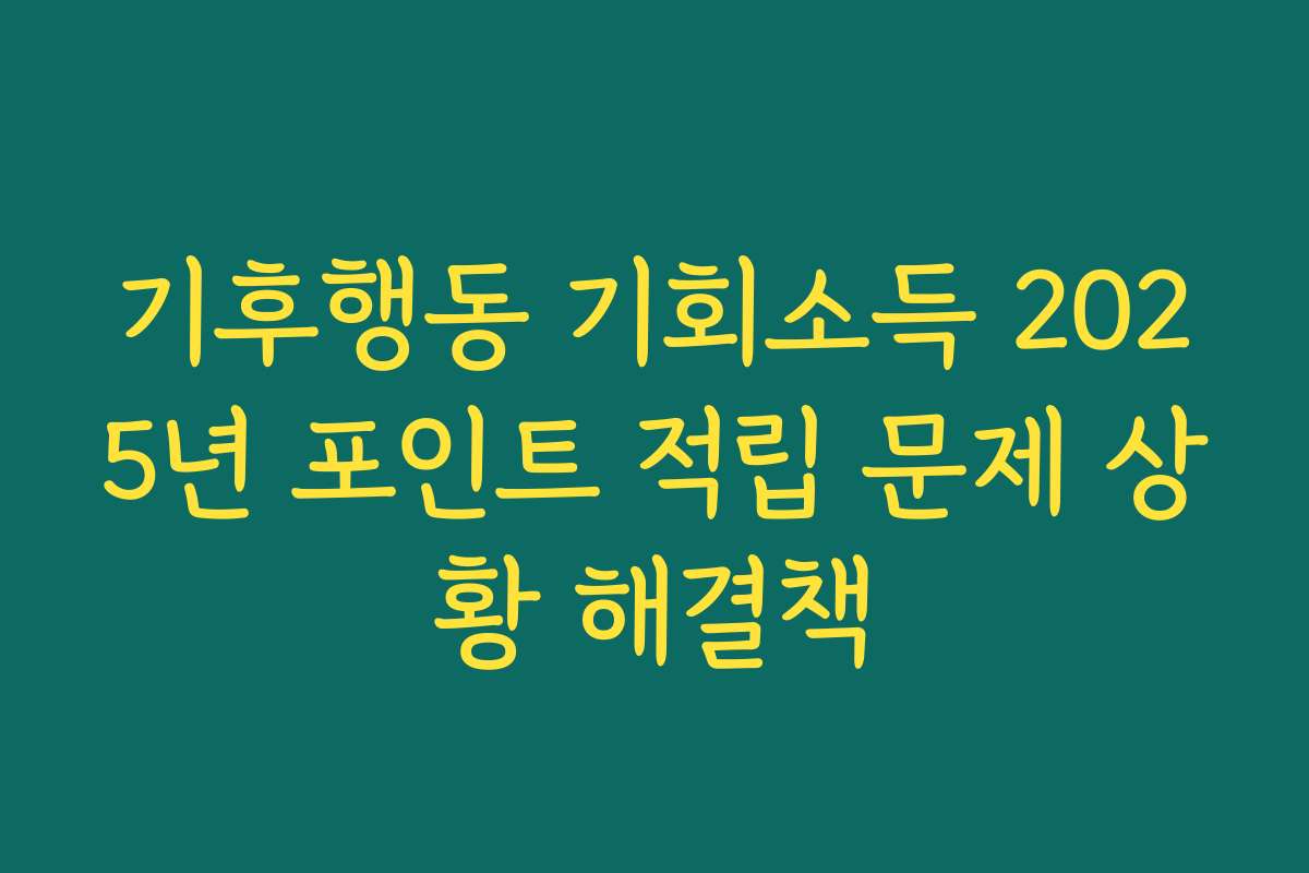기후행동 기회소득 2025년 포인트 적립 문제 상황 해결책