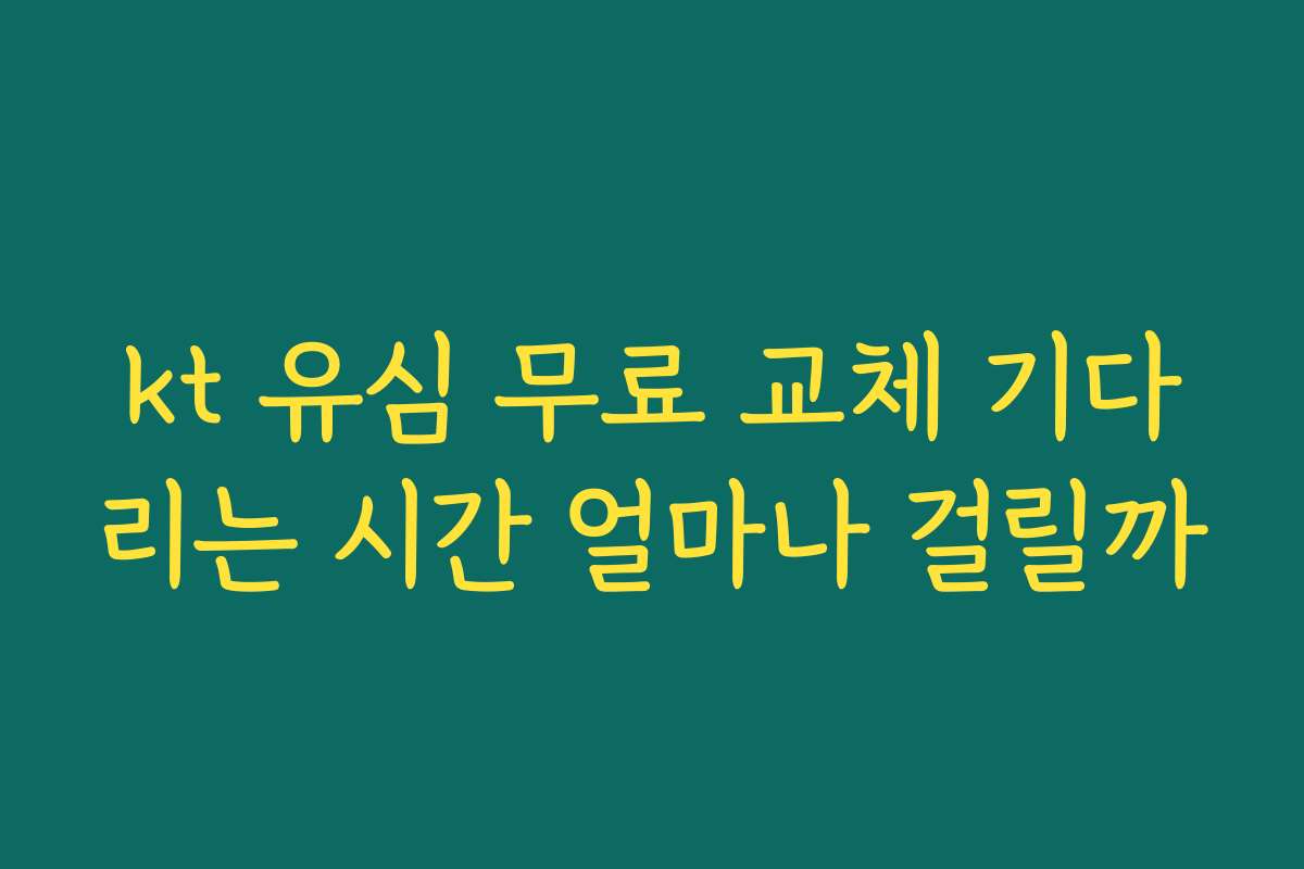 kt 유심 무료 교체 기다리는 시간 얼마나 걸릴까
