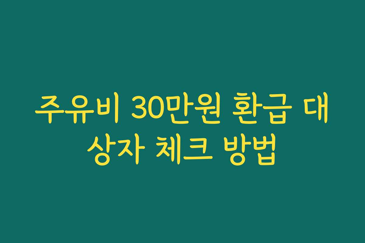 주유비 30만원 환급 대상자 체크 방법