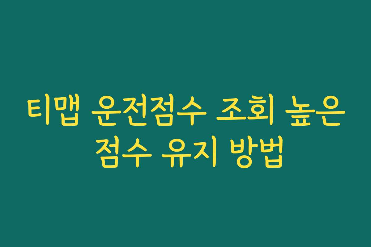 티맵 운전점수 조회 높은 점수 유지 방법