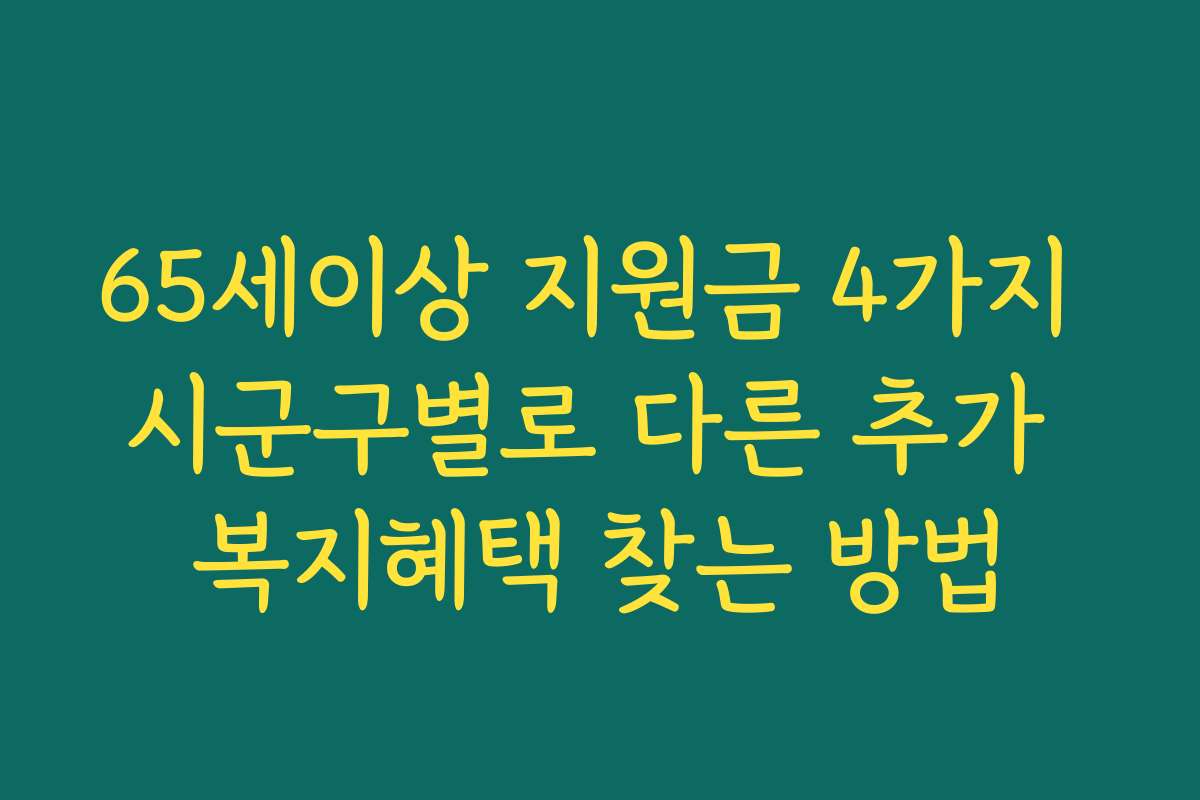 65세이상 지원금 4가지 시군구별로 다른 추가 복지혜택 찾는 방법
