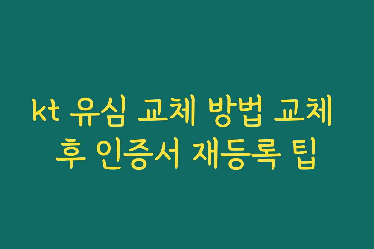 kt 유심 교체 방법 교체 후 인증서 재등록 팁