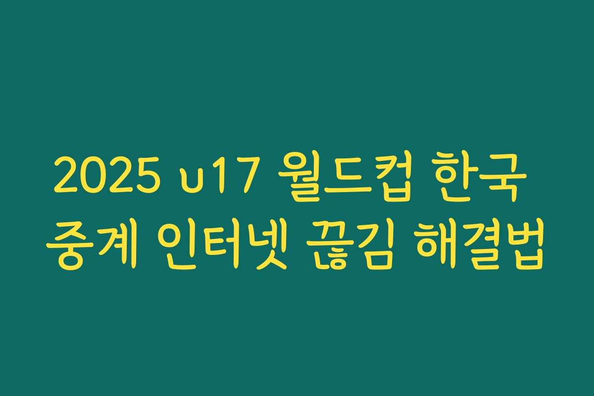 2025 u17 월드컵 한국 중계 인터넷 끊김 해결법