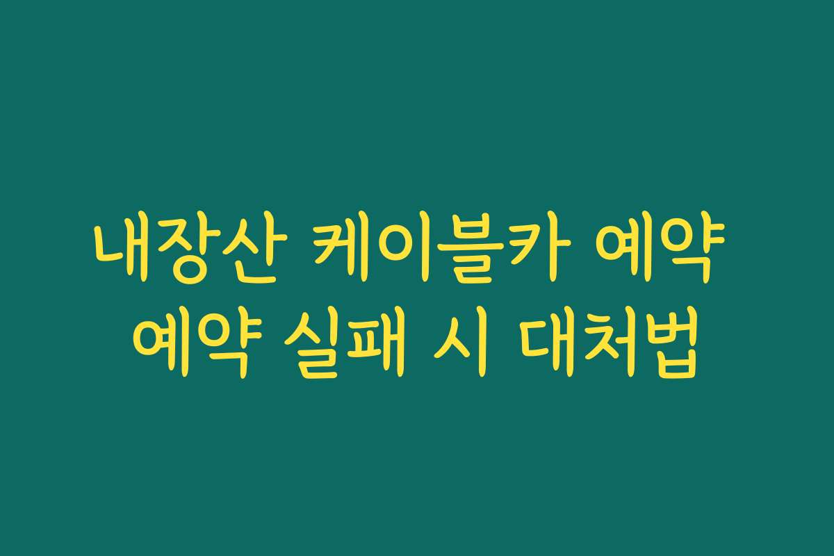 내장산 케이블카 예약 예약 실패 시 대처법