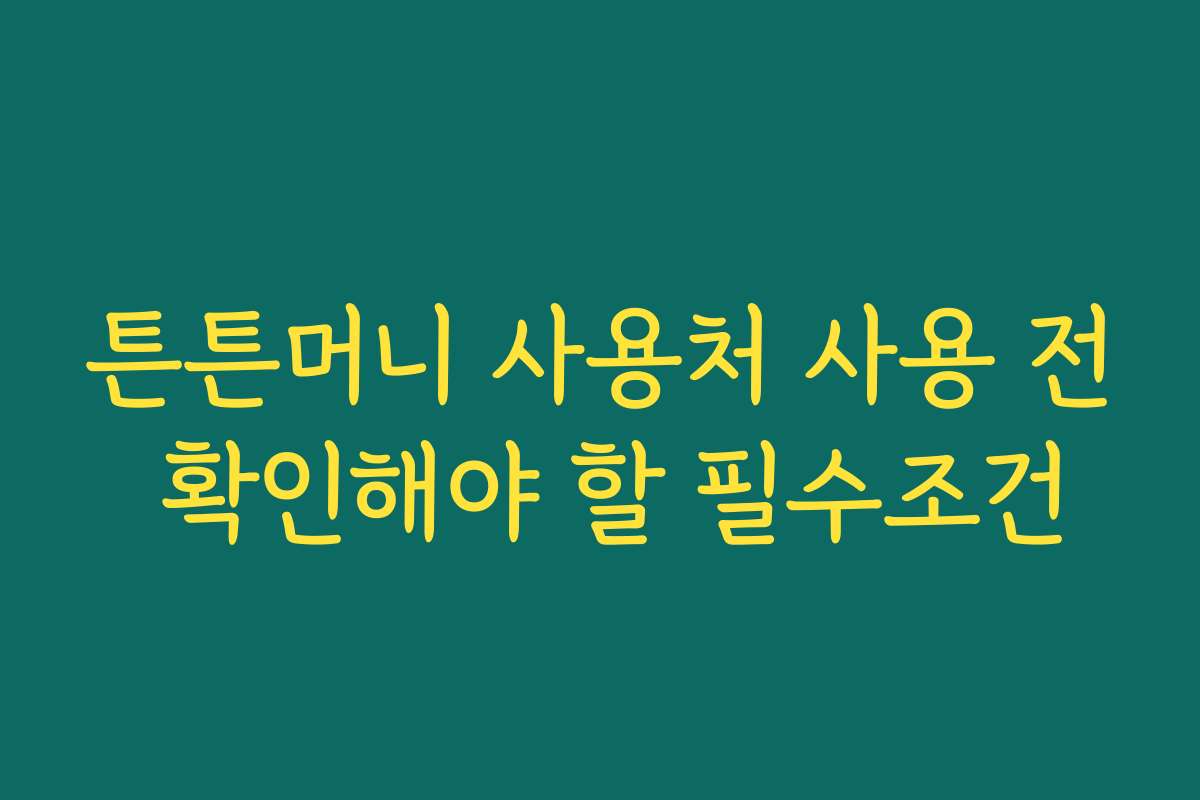 튼튼머니 사용처 사용 전 확인해야 할 필수조건