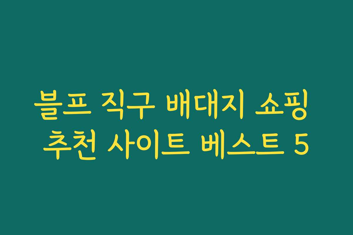 블프 직구 배대지 쇼핑 추천 사이트 베스트 5