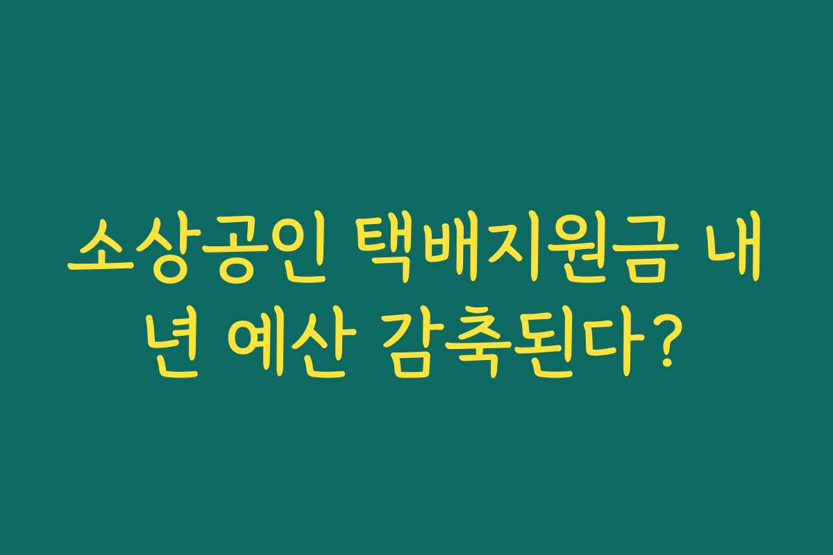소상공인 택배지원금 내년 예산 감축된다?