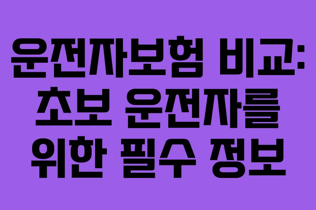 운전자보험 비교: 초보 운전자를 위한 필수 정보