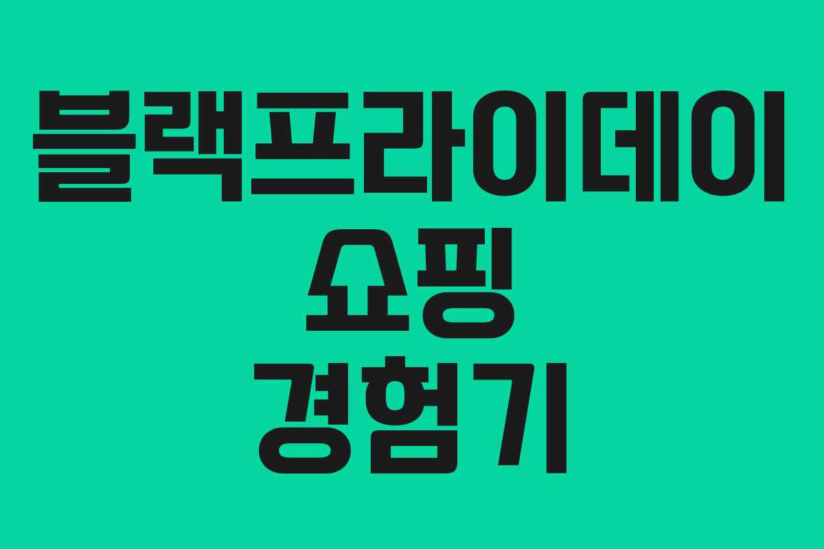 블랙프라이데이 쇼핑 경험기