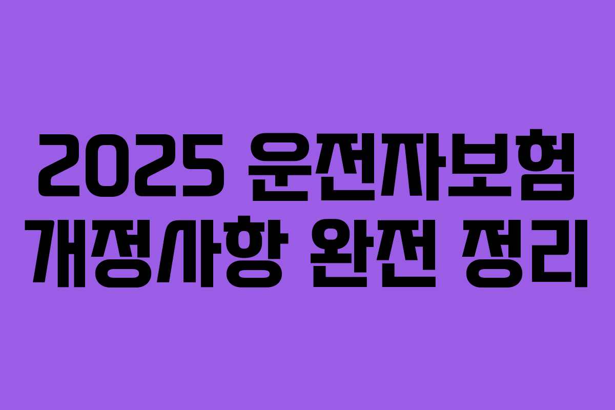 2025 운전자보험 개정사항 완전 정리