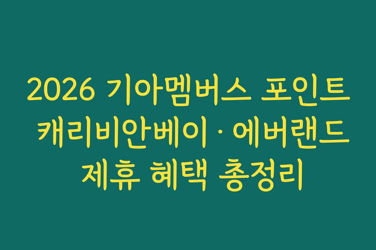 2026 기아멤버스 포인트 캐리비안베이·에버랜드 제휴 혜택 총정리
