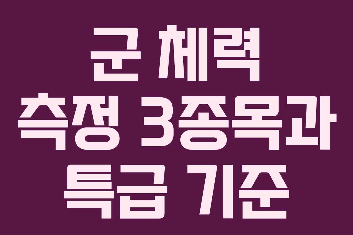 군 체력 측정 3종목과 특급 기준