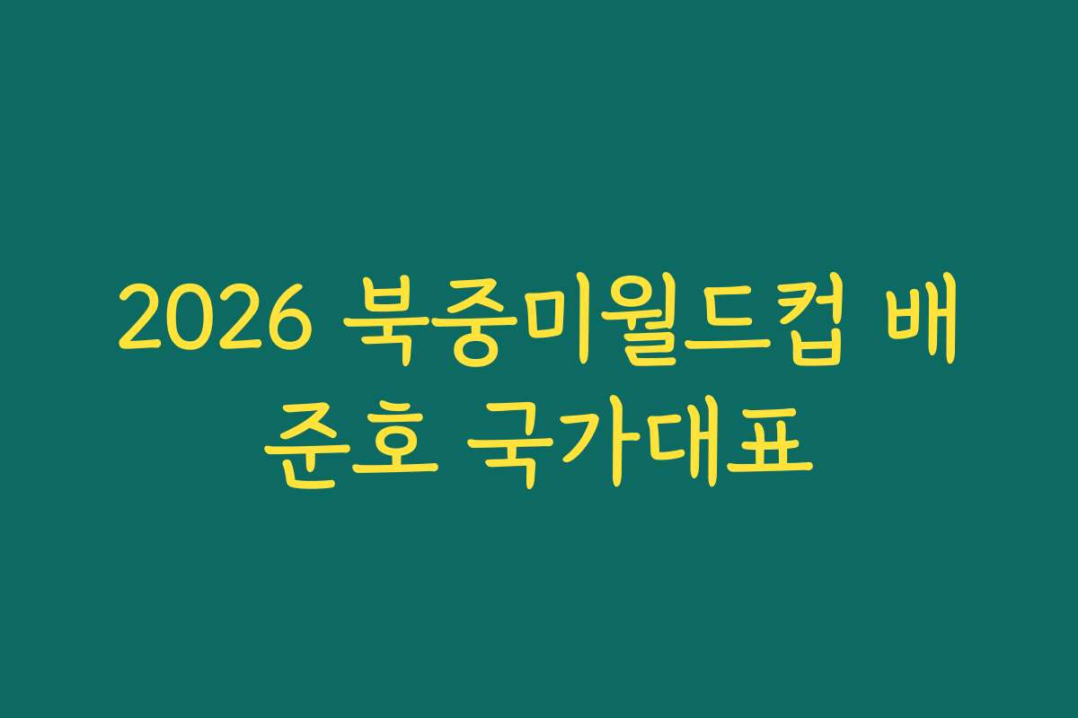 2026 북중미월드컵 배준호 국가대표