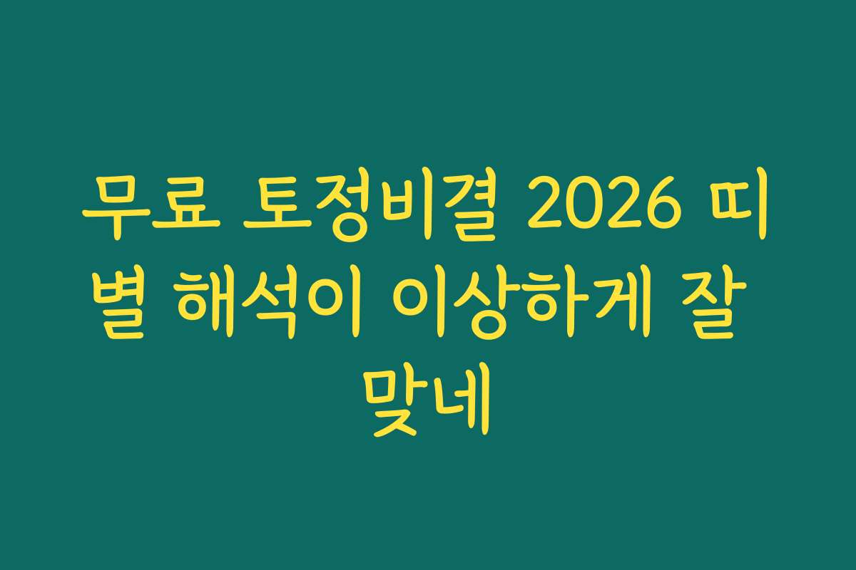 무료 토정비결 2026 띠별 해석이 이상하게 잘 맞네