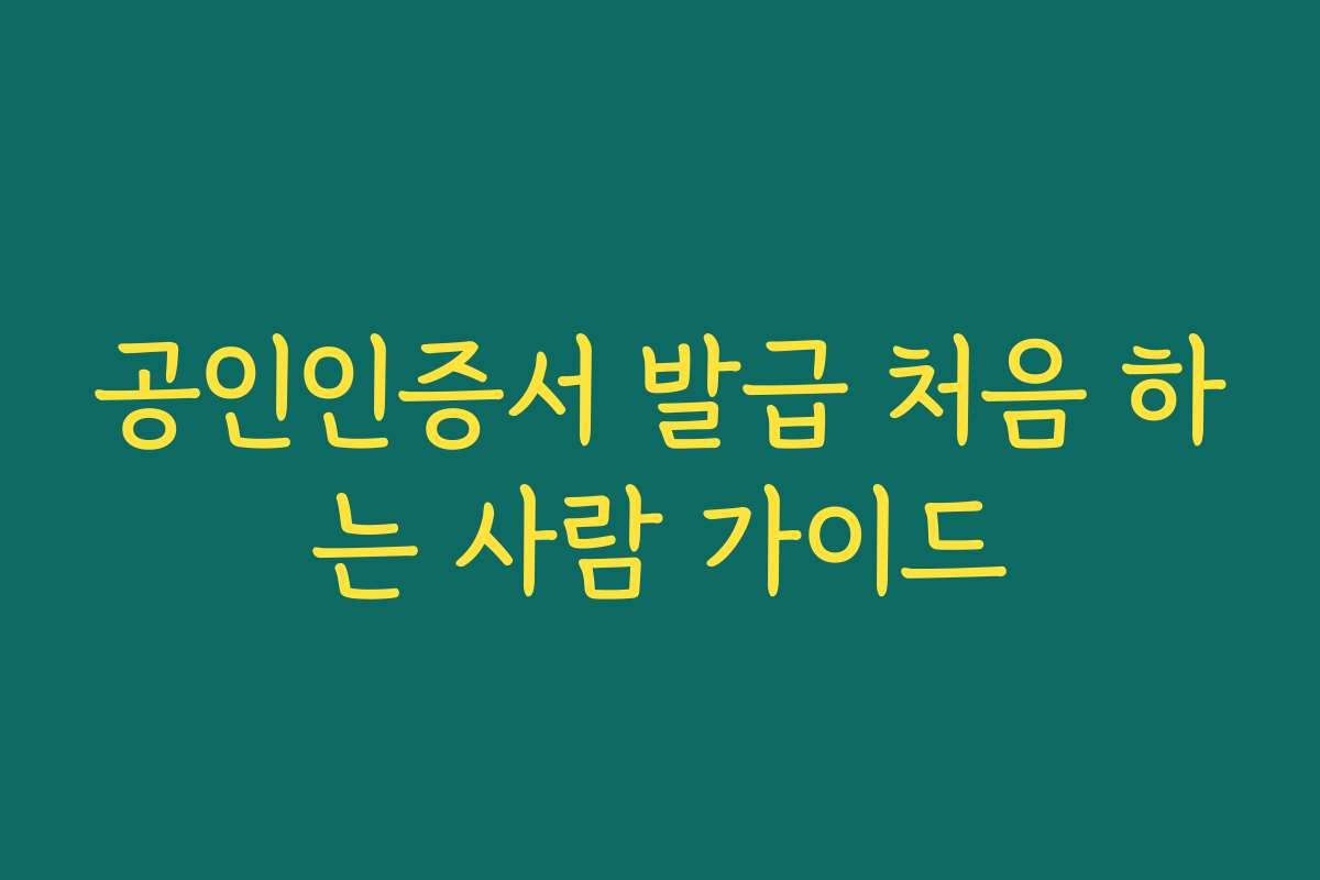 공인인증서 발급 처음 하는 사람 가이드
