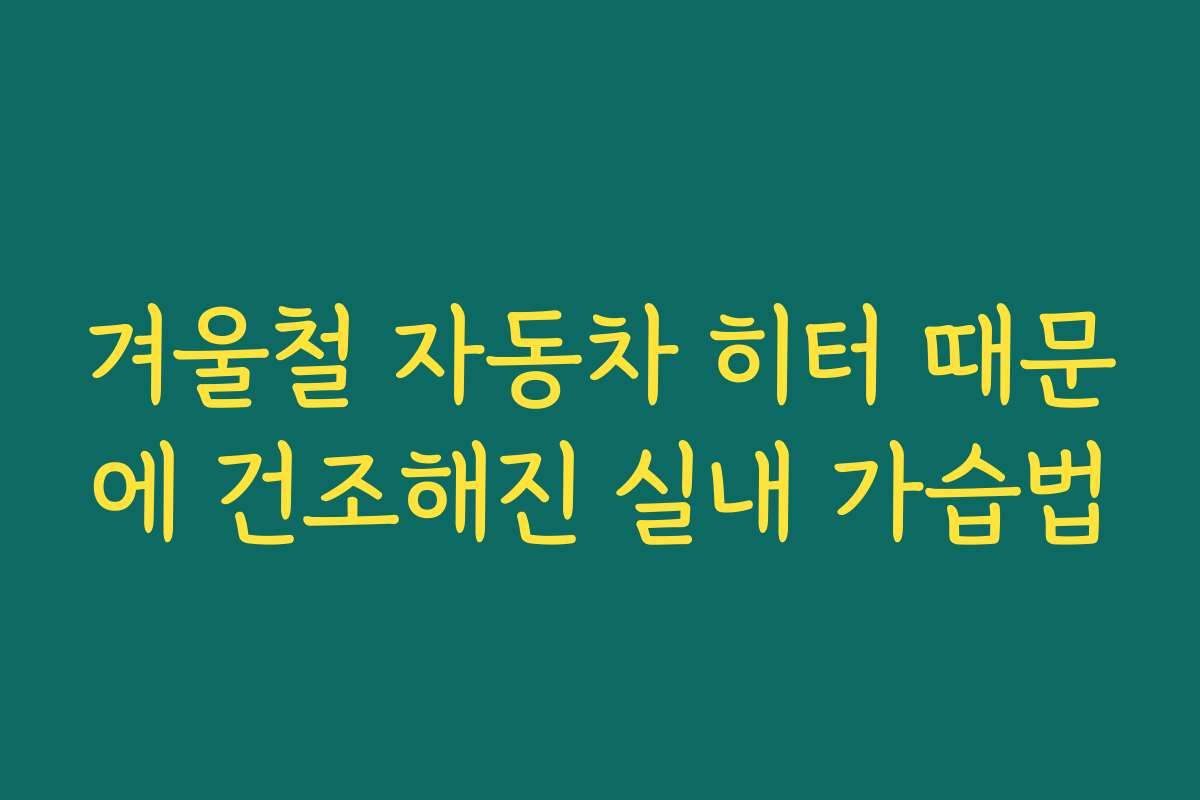 겨울철 자동차 히터 때문에 건조해진 실내 가습법