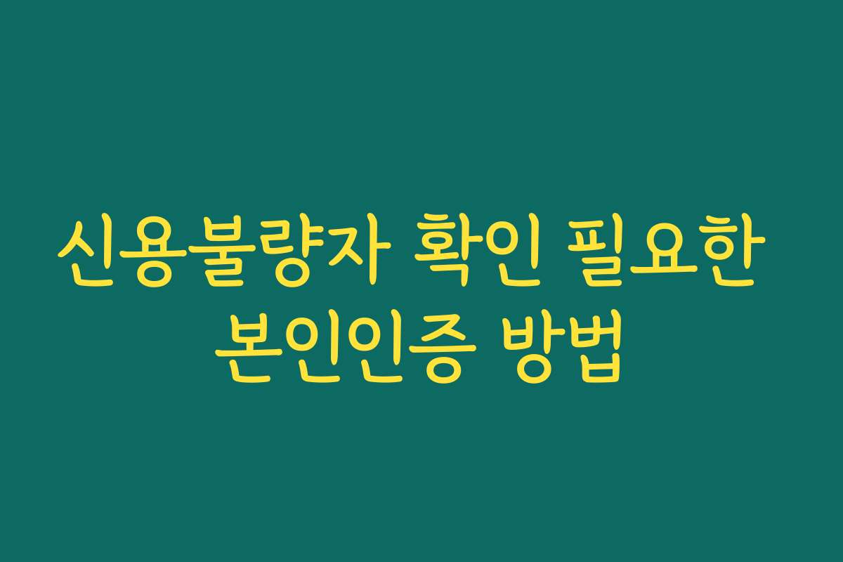 신용불량자 확인 필요한 본인인증 방법