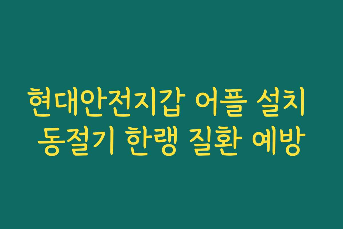 현대안전지갑 어플 설치 동절기 한랭 질환 예방