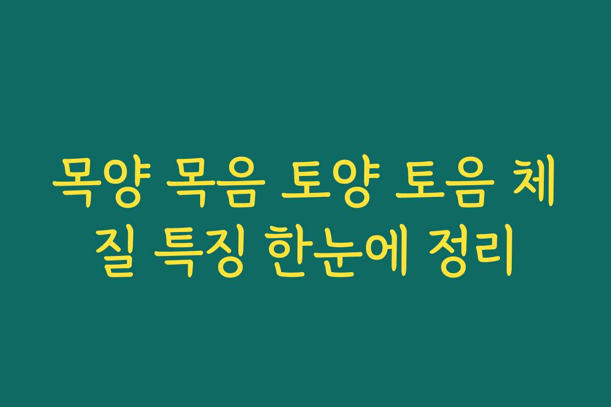 목양 목음 토양 토음 체질 특징 한눈에 정리