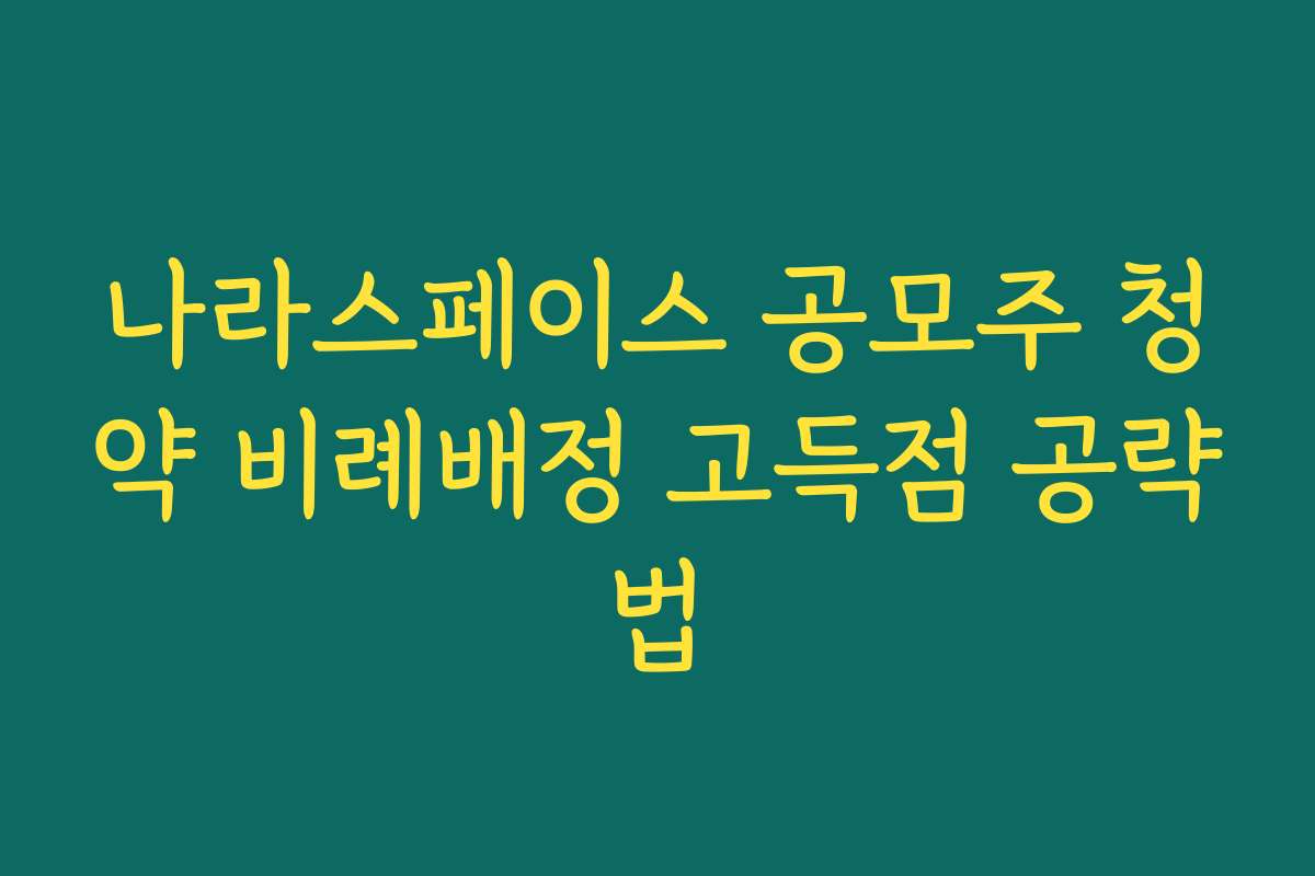 나라스페이스 공모주 청약 비례배정 고득점 공략법