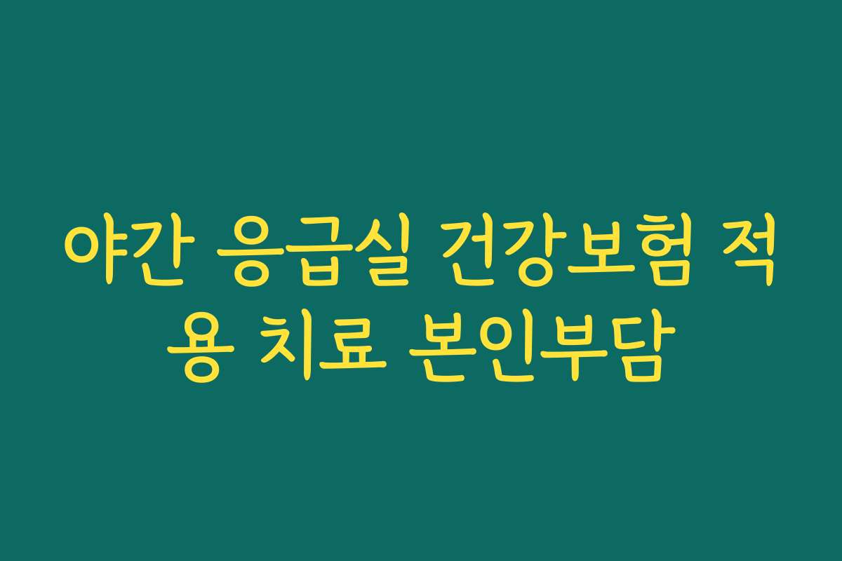 야간 응급실 건강보험 적용 치료 본인부담