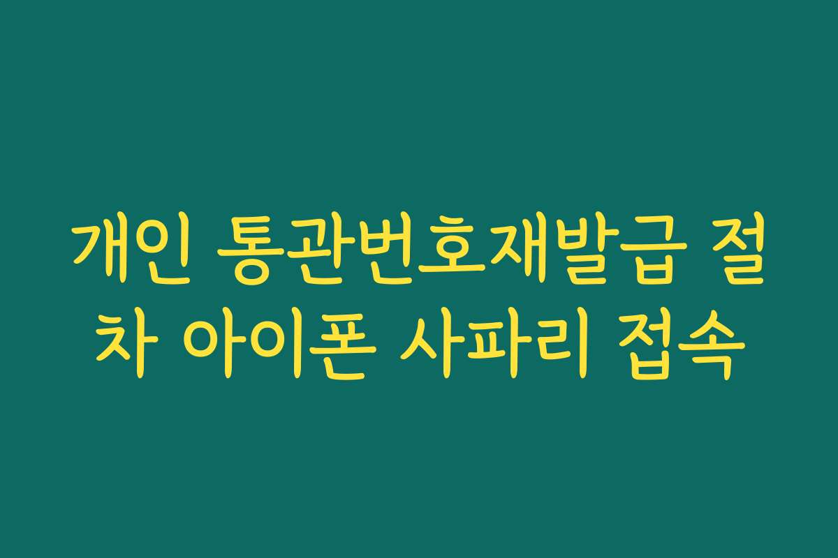 개인 통관번호재발급 절차 아이폰 사파리 접속