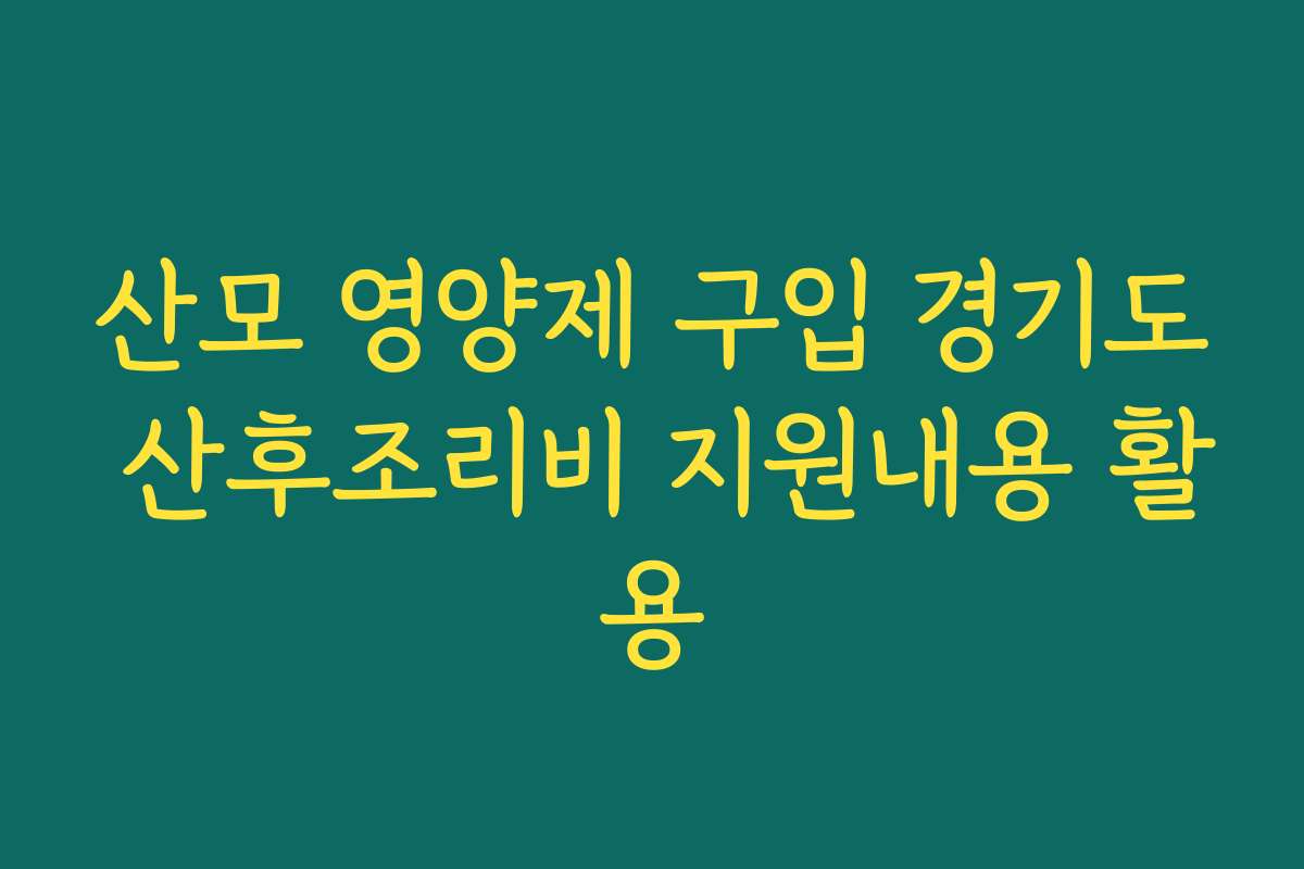 산모 영양제 구입 경기도 산후조리비 지원내용 활용