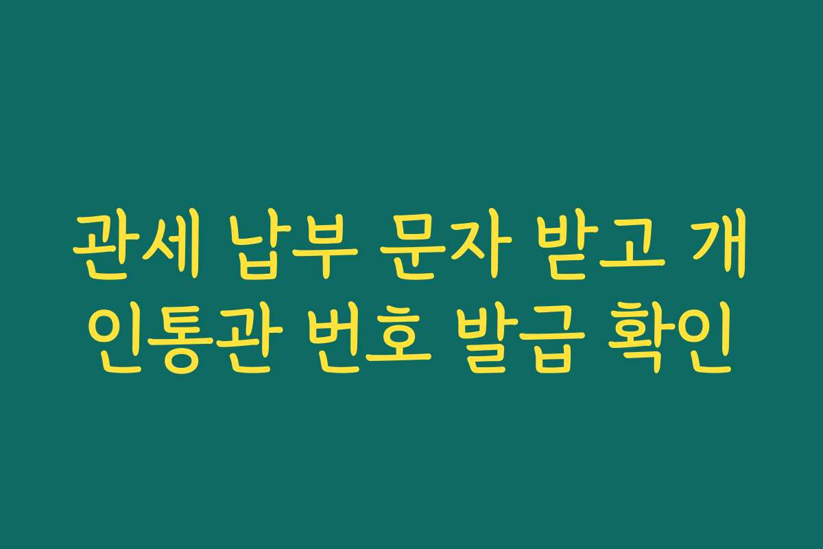 관세 납부 문자 받고 개인통관 번호 발급 확인