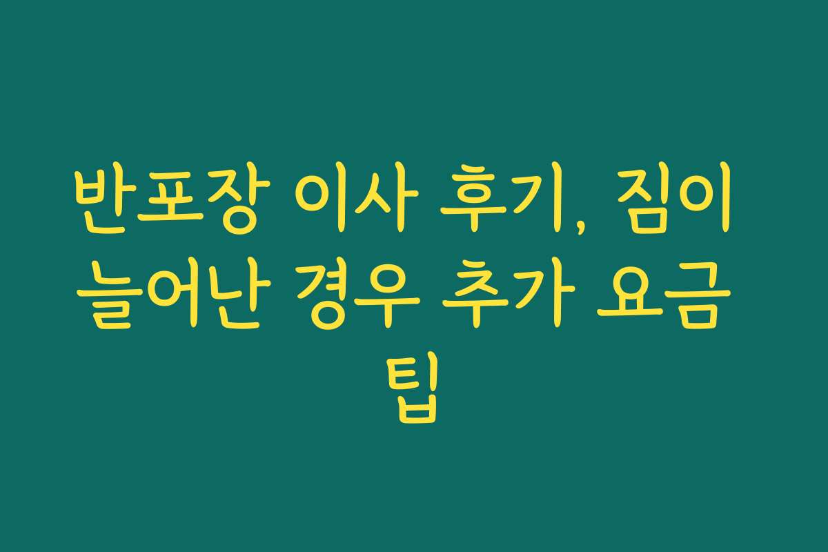 반포장 이사 후기, 짐이 늘어난 경우 추가 요금 팁