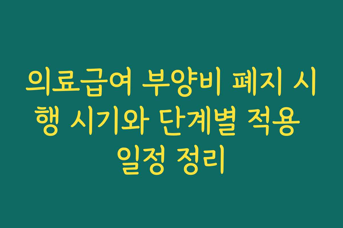 의료급여 부양비 폐지 시행 시기와 단계별 적용 일정 정리