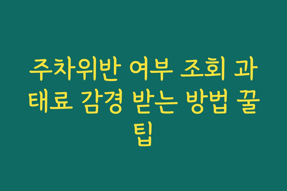 주차위반 여부 조회 과태료 감경 받는 방법 꿀팁