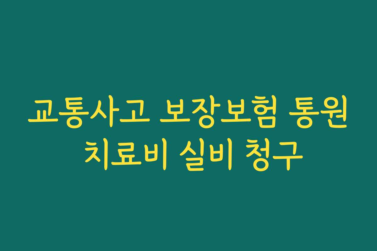 교통사고 보장보험 통원 치료비 실비 청구