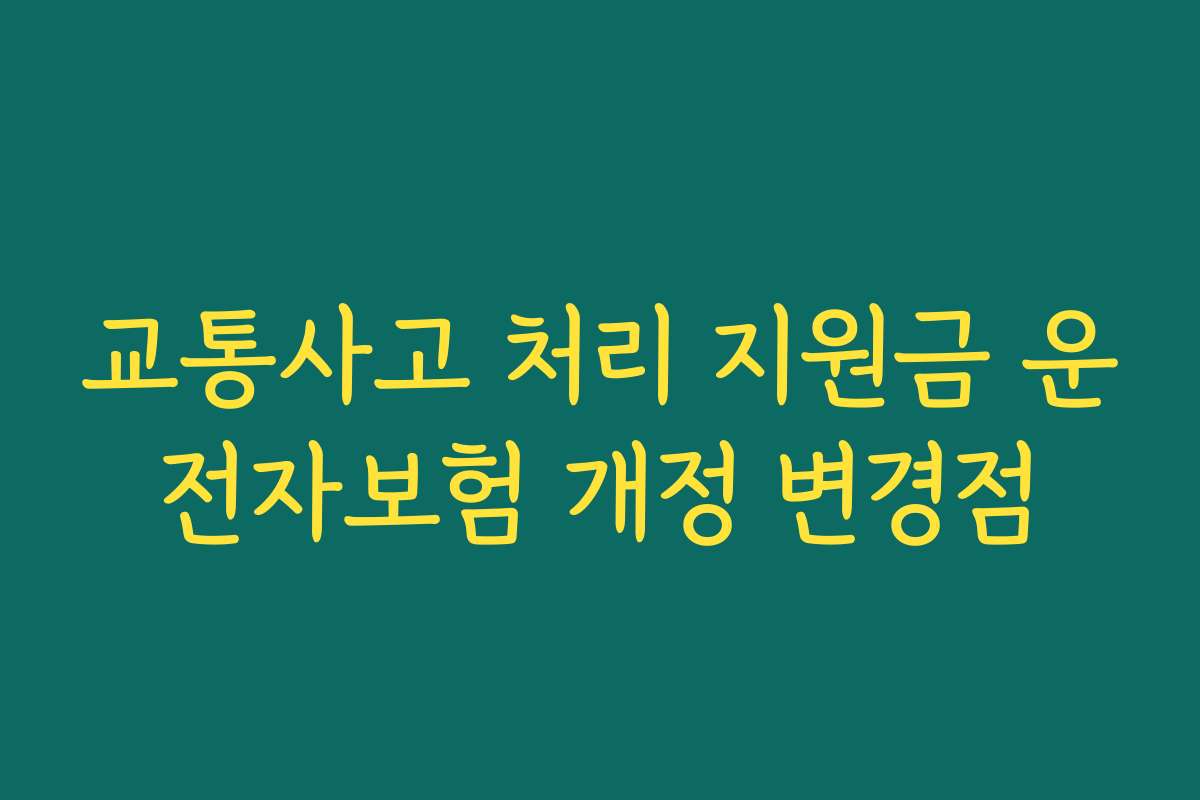 교통사고 처리 지원금 운전자보험 개정 변경점