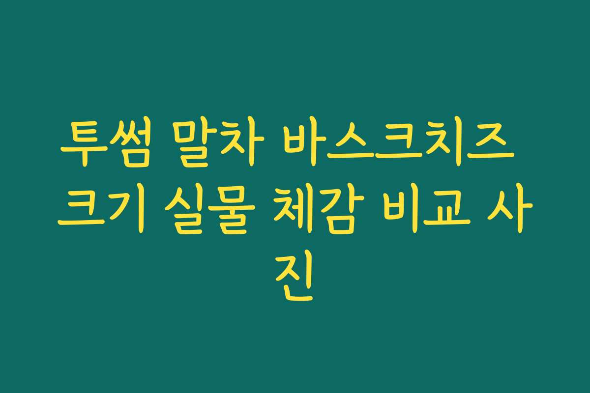 투썸 말차 바스크치즈 크기 실물 체감 비교 사진