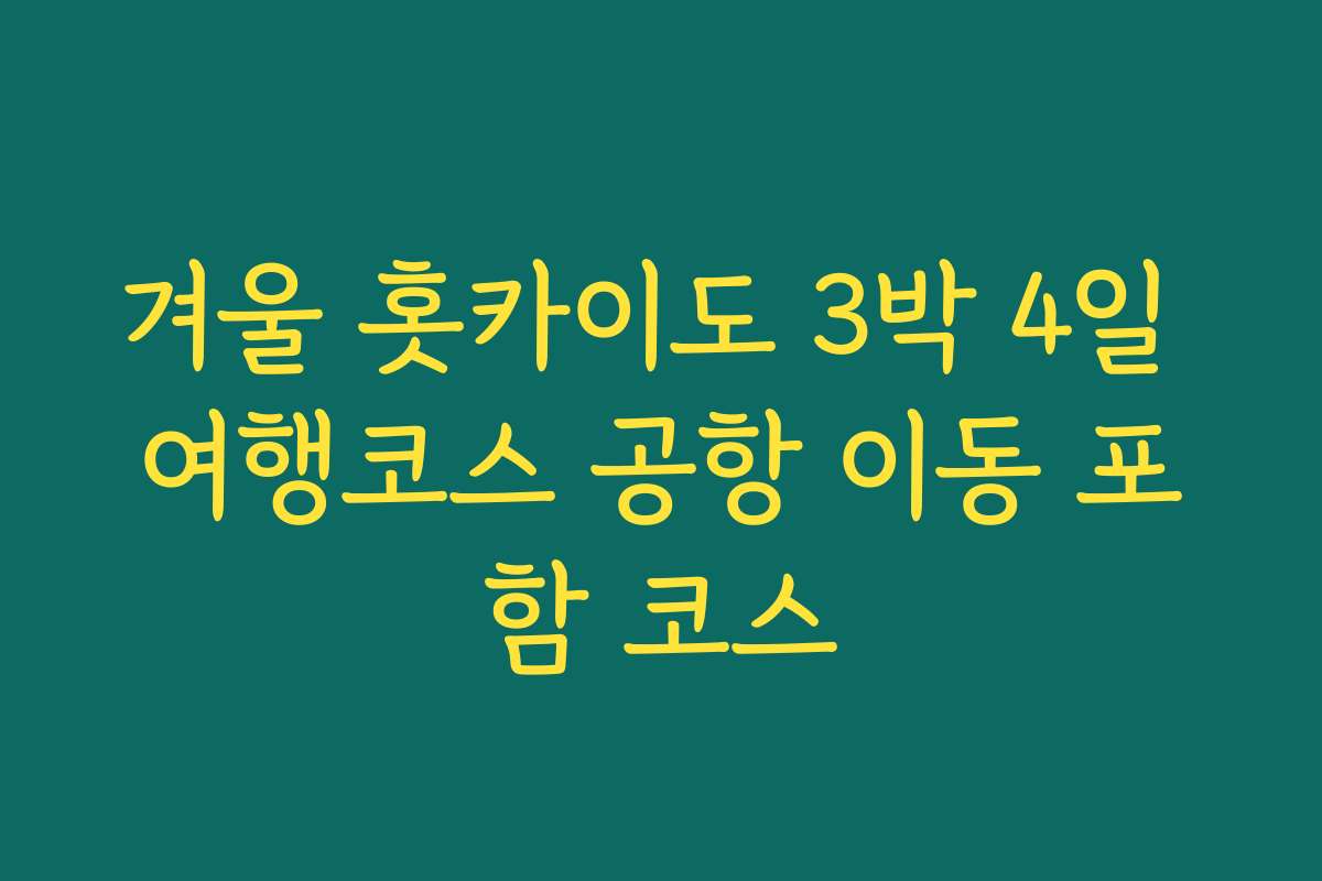겨울 홋카이도 3박 4일 여행코스 공항 이동 포함 코스