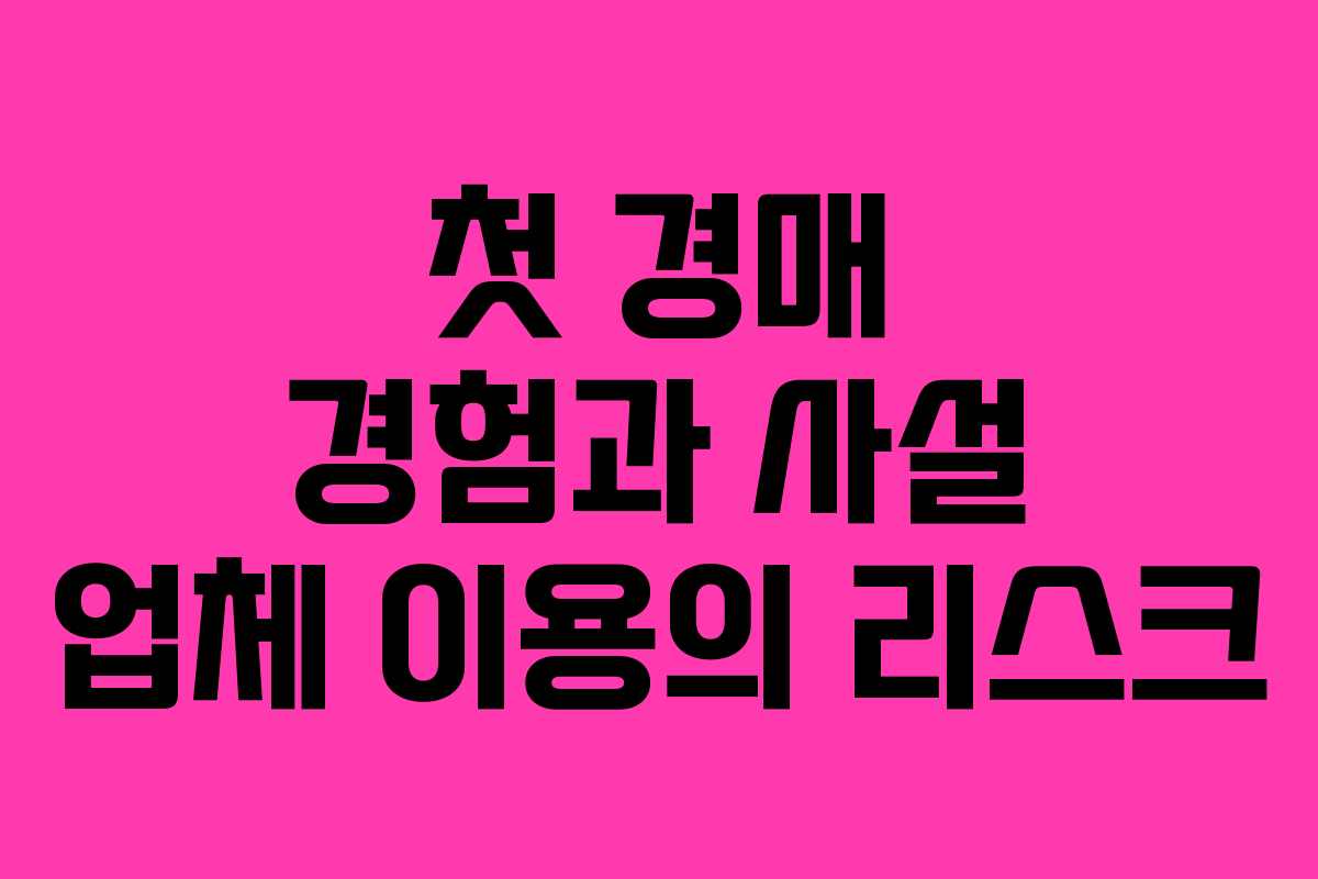 첫 경매 경험과 사설 업체 이용의 리스크