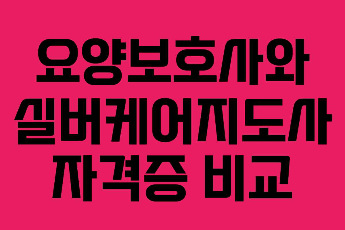 요양보호사와 실버케어지도사 자격증 비교