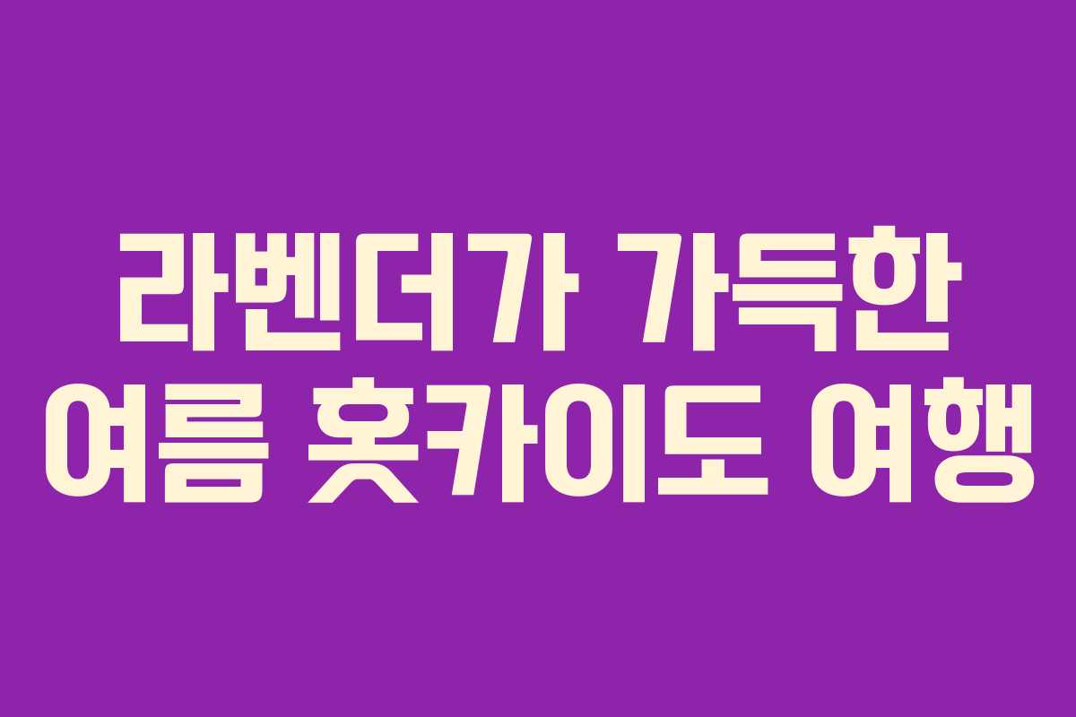 라벤더가 가득한 여름 홋카이도 여행